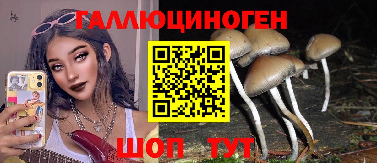 Лангепас  Псилоцибиновые грибы прущие грибы  Вход с VPN 